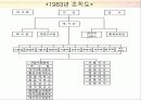 기업 조직구조 변화분석-KT 12페이지