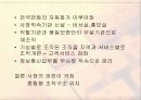 기업 조직구조 변화분석-KT 15페이지