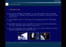 뉴미디어이론 디지털방송 3페이지