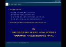 뉴미디어이론 디지털방송 11페이지