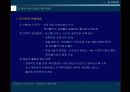 뉴미디어이론 디지털방송 13페이지