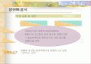 ASEM에 대한 정부의 PR분석 11페이지