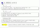 헤라의 유통성공 분석 13페이지
