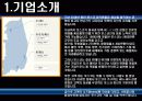 포스코 구조조정 분석 3페이지