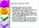 공포영화에 대해서... 14페이지