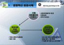 기업경영전략- 경영혁신 13페이지