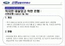 신한 금융의 다각화 전략 방안 10페이지