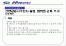 신한 금융의 다각화 전략 방안 22페이지