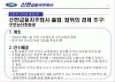 신한 금융의 다각화 전략 방안 24페이지