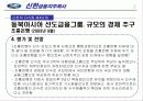 신한 금융의 다각화 전략 방안 30페이지