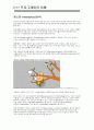 C++  고급C언어에 관한 이해 68페이지