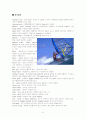 윈드서핑 [wind surfing] 8페이지