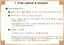 Antioxidant 2페이지