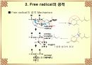 Antioxidant 9페이지