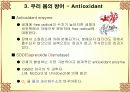 Antioxidant 10페이지