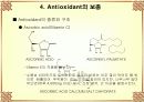 Antioxidant 15페이지