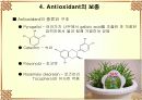 Antioxidant 20페이지