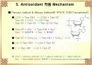 Antioxidant 24페이지