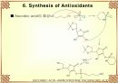 Antioxidant 28페이지