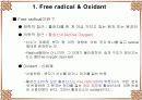 Antioxidant 32페이지