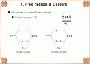 Antioxidant 34페이지