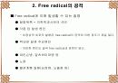 Antioxidant 37페이지