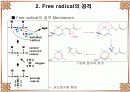 Antioxidant 38페이지
