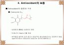 Antioxidant 46페이지
