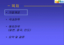 다음의 국내 및 해외 경영전략 분석(DAUM) 1페이지