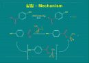 Alkylation 17페이지