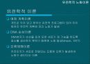 노화관련 이론 10페이지