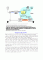 VoIP (Voice over Internet Protocol)에 대해 14페이지