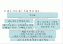 기업경영전략- BSC의 개념과 적용사례분석 29페이지
