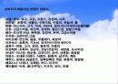 화장품 시장 마케팅- 엘지생활건강 32페이지