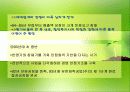 유한양행의 조직구조 변화와 성과분석 18페이지