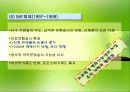 유한양행의 조직구조 변화와 성과분석 21페이지