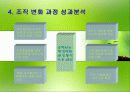 유한양행의 조직구조 변화와 성과분석 28페이지