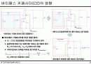 증폭기의 주파수 응답 11페이지