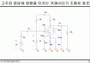 증폭기의 주파수 응답 18페이지