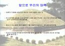 중국의 고구려 역사 왜곡에 대한 발표 17페이지