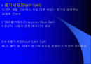 줄기세포와 배아복제 2페이지