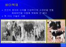 줄기세포와 배아복제 4페이지