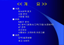 국내 백화점 (롯데, 현대, 신세계)분석 및 향후 전략 - SWOT분석, 4C분석. 4P전략, 포지셔닝 2페이지