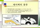 생명의 마지막 보루 Airbag(에어백) 8페이지