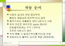 생명의 마지막 보루 Airbag(에어백) 12페이지