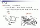 Transmission의  전자제어장치 23페이지