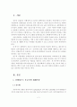 신행정수도 건설시 방재개념 도입방안 2페이지