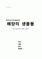 바다의 생물들(:붉은바다거북의 일생을 중심으로) 감상문 - N.G 1페이지
