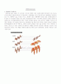 편광(Polarization) 1페이지
