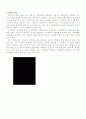 편광(Polarization) 2페이지